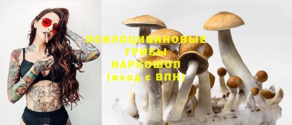 герыч Абинск