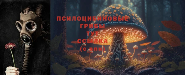 герыч Абинск