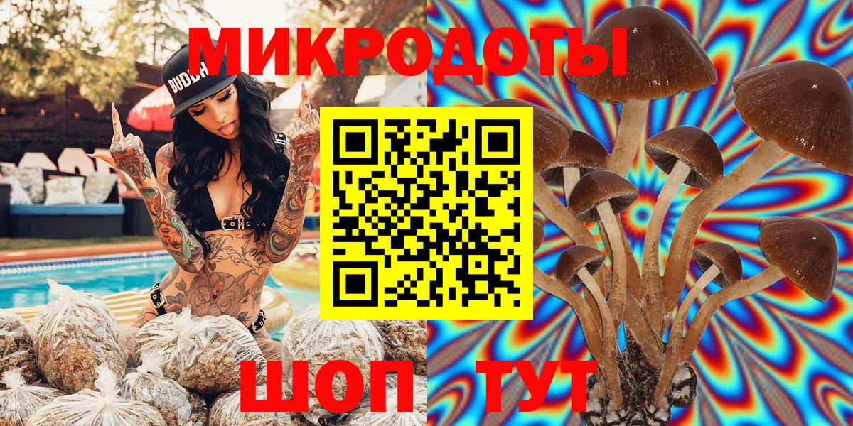 Вичуга  Галлюциногенные грибы MAGIC MUSHROOMS  Вход с VPN  Галлюциногенные грибы Cubensis 